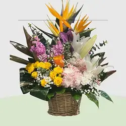 Flower Basket