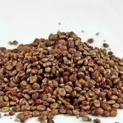 Akre Sumac Seeds ( original and clean)