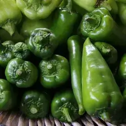 Medium Pepper