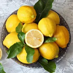 Iraqi Lemon