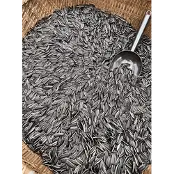 Large sunflower seeds, 1 kg