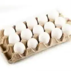 15 Egg Layers