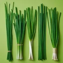 Chives