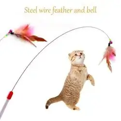 Cat Toy Interaction
