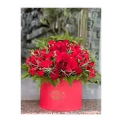 Flowers Box