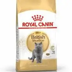 Royal Canin British Shorthair Adult 10 kg