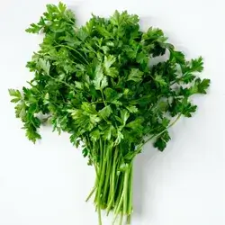 Parsley