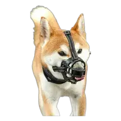 Dog  Mask -L