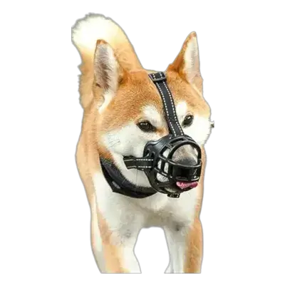Dog Mask -L