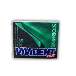 Vident Green Mint Gum 33 gm