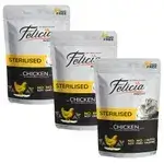 Felicia Chicken 12x