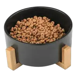 Zoofari Ceramic Bowl