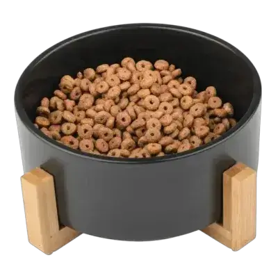 Zoofari Ceramic Bowl