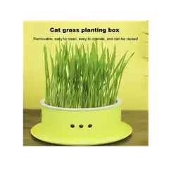 E323 - Cat Grass Basin