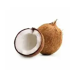 Coconut Import, 1 Piece