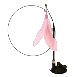 Cat Toy
