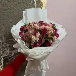 Baby Rose