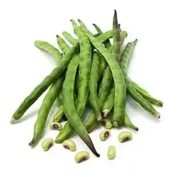 Green Eye Beans