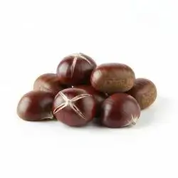 Turkish Kastana