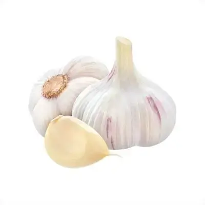 Garlic