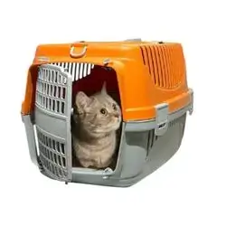 Pet Carriage