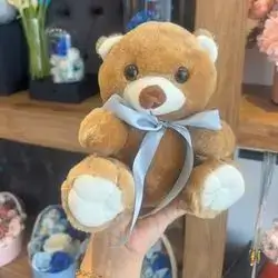 Cute Bear