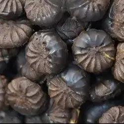 Chocolate Flavored Petit Fours