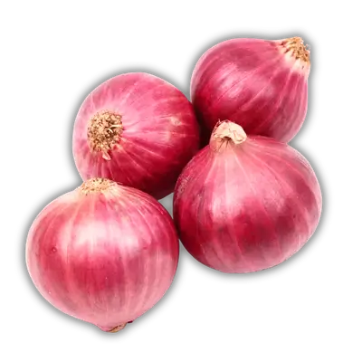 Red onion