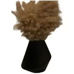 Vase With Feathers