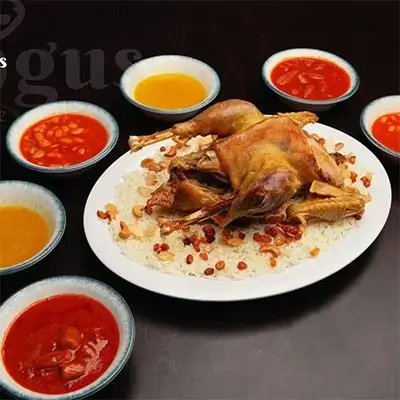 Full Kurdish Rooster