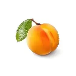 قەیسی
