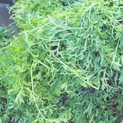 Cress