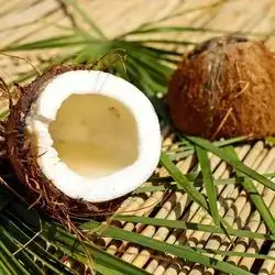 Coconut 1 Piece