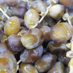 Iraqi Dates
