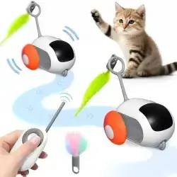 Car Remote Control