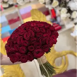 100 Rose