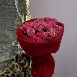 Baby Rose