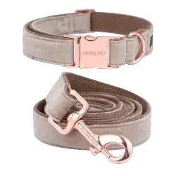 ARING Leash & Collar