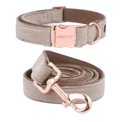 ARING Leash & Collar