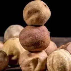 Lemon Basra Yellow Quarter Kilo