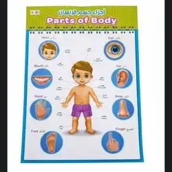 PARTS OF BODY POSTER