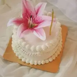 Special Cake - 6 Persons
