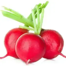 Radish