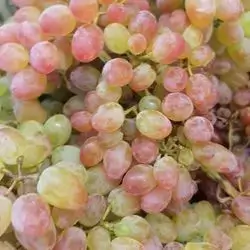 Iranian grapes