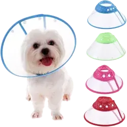 Safety/Protection Collar L