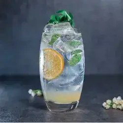 Lemon & Ment Mojito