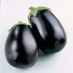 Round Eggplant