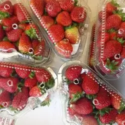 Strawberries box