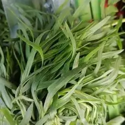 Tarragon