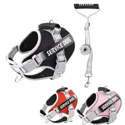 E270 pet harness with leash